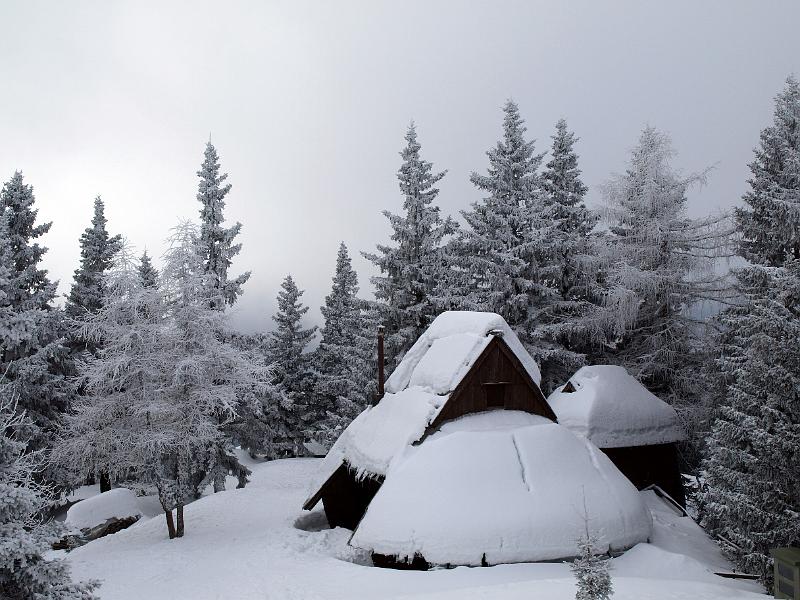 P1035836.JPG - OLYMPUS DIGITAL CAMERA