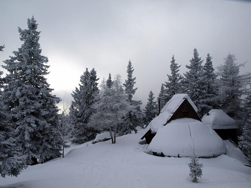 P1035843.JPG - OLYMPUS DIGITAL CAMERA