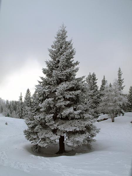 P1035846.JPG - OLYMPUS DIGITAL CAMERA