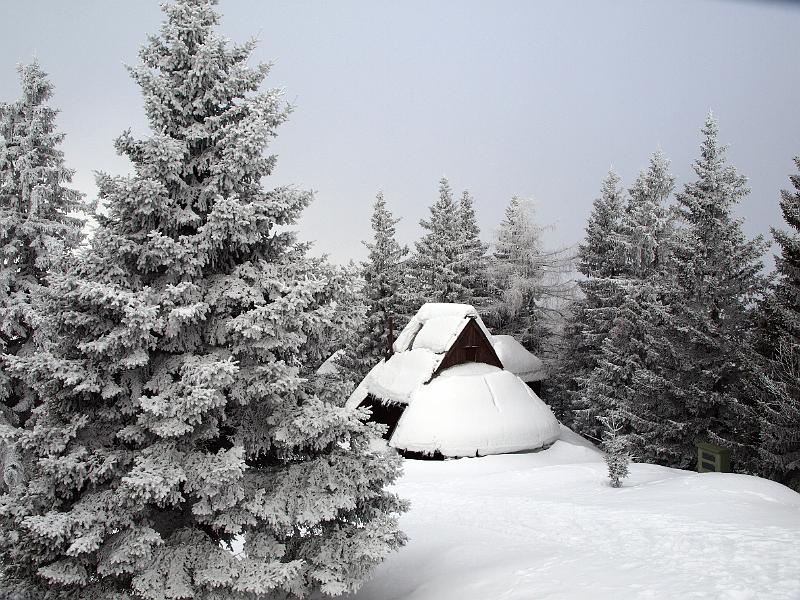 P1035855.JPG - OLYMPUS DIGITAL CAMERA