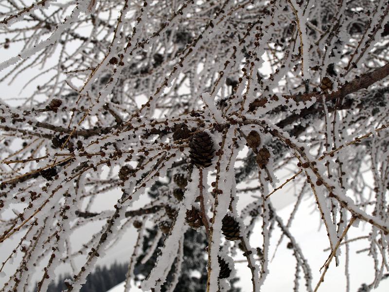 P1035857.JPG - OLYMPUS DIGITAL CAMERA