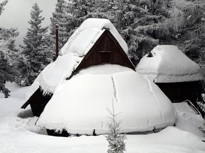 P1035859.JPG - OLYMPUS DIGITAL CAMERA