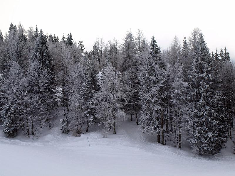 P1035866.JPG - OLYMPUS DIGITAL CAMERA