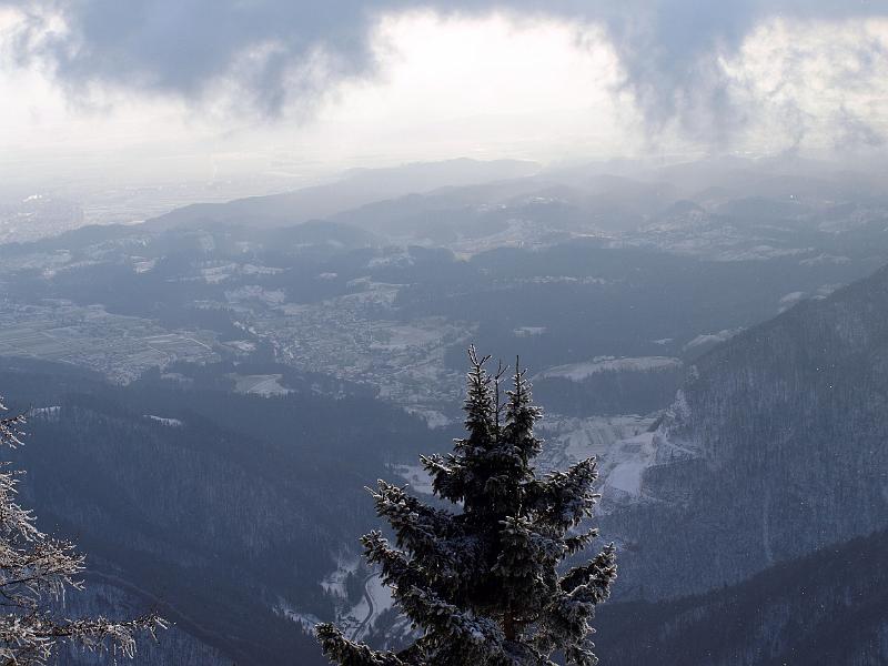 P1035887.JPG - OLYMPUS DIGITAL CAMERA