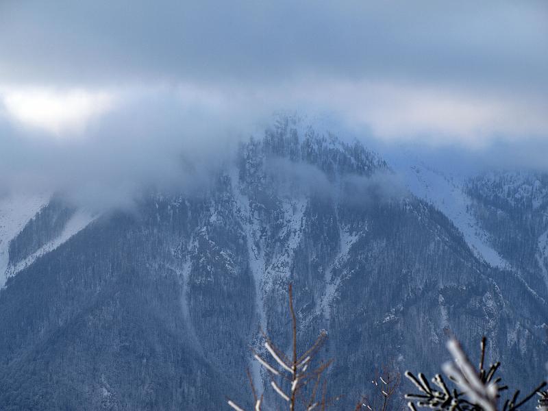 P1035889.JPG - OLYMPUS DIGITAL CAMERA