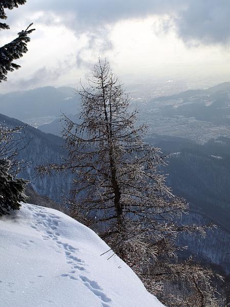 P1035890.JPG - OLYMPUS DIGITAL CAMERA