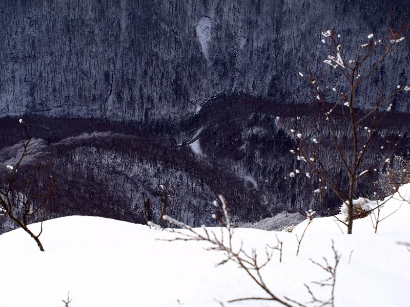 P1035891.JPG - OLYMPUS DIGITAL CAMERA