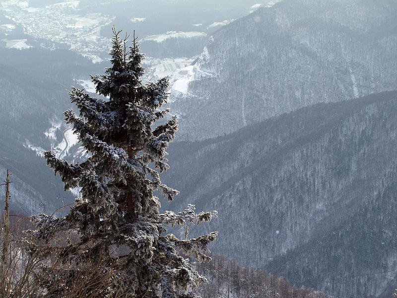 P1035892.JPG - OLYMPUS DIGITAL CAMERA