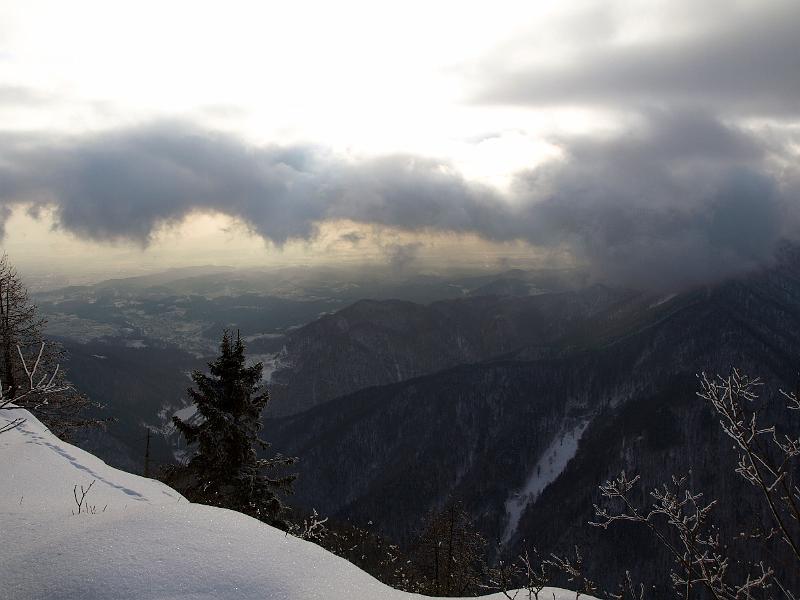 P1035898.JPG - OLYMPUS DIGITAL CAMERA