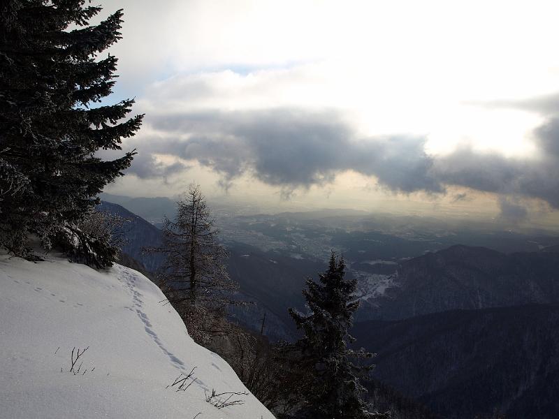 P1035904.JPG - OLYMPUS DIGITAL CAMERA