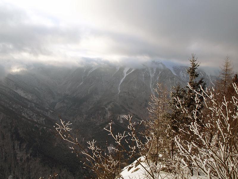 P1035907.JPG - OLYMPUS DIGITAL CAMERA