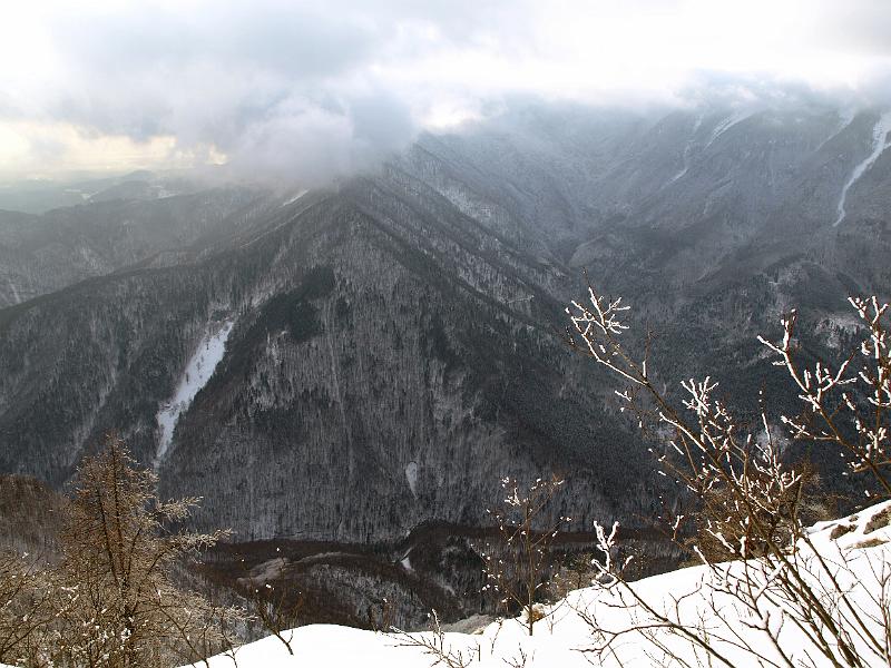 P1035908.JPG - OLYMPUS DIGITAL CAMERA