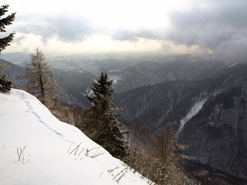 P1035909.JPG - OLYMPUS DIGITAL CAMERA