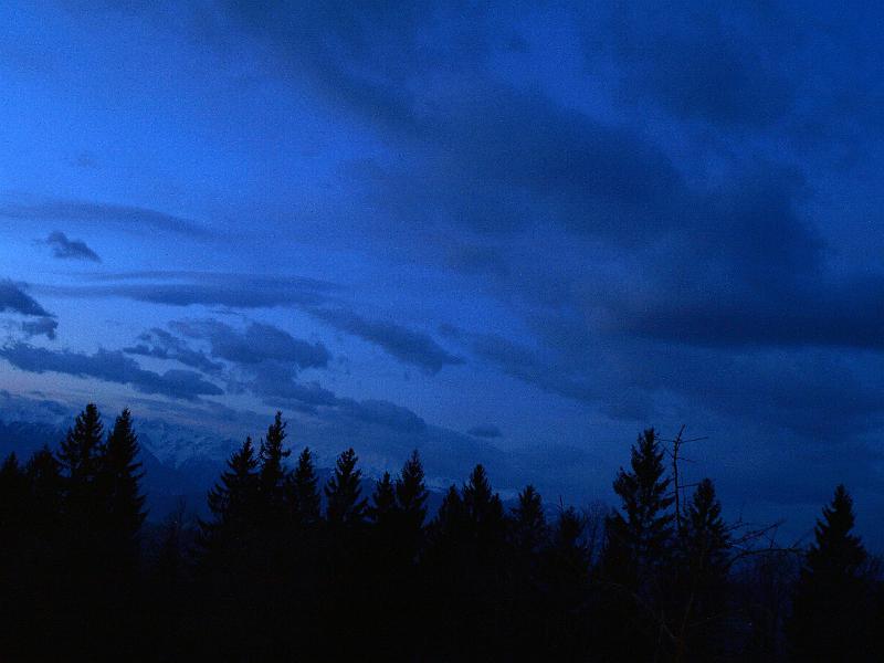 P2146583.JPG - OLYMPUS DIGITAL CAMERA