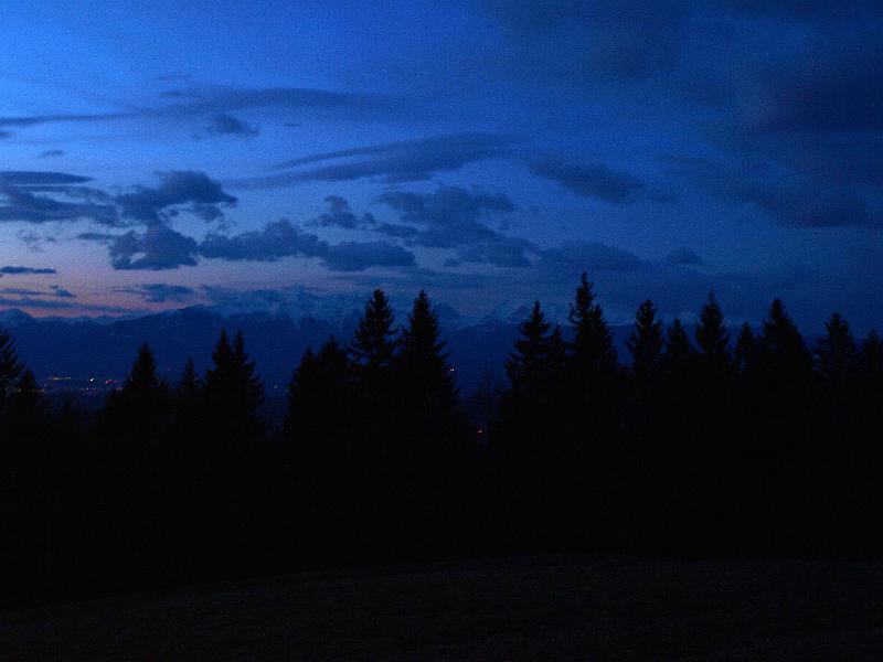 P2146585.JPG - OLYMPUS DIGITAL CAMERA