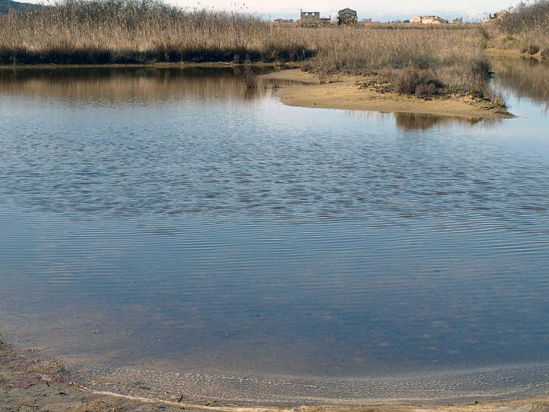 P3076791.JPG - OLYMPUS DIGITAL CAMERA