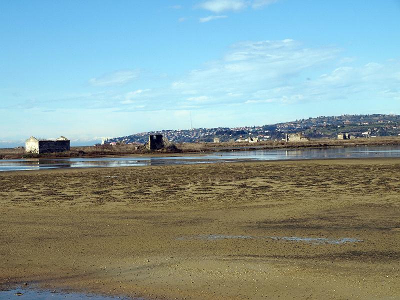 P3076797.JPG - OLYMPUS DIGITAL CAMERA