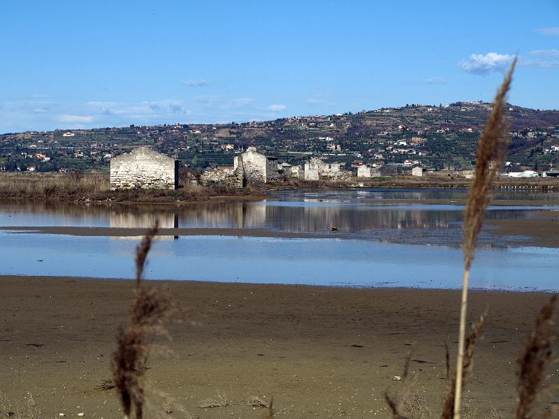 P3076808.JPG - OLYMPUS DIGITAL CAMERA