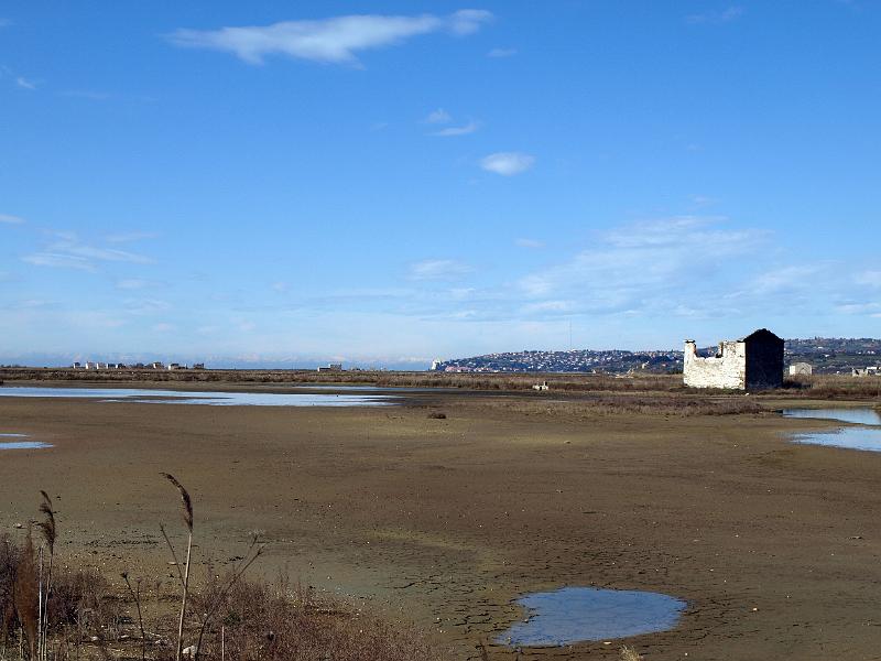 P3076813.JPG - OLYMPUS DIGITAL CAMERA