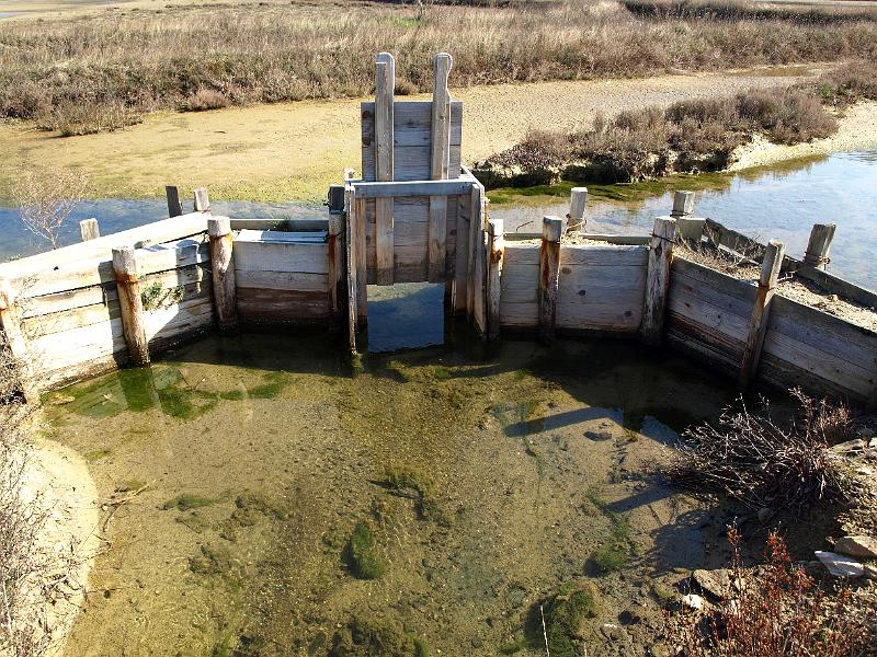 P3076825.JPG - OLYMPUS DIGITAL CAMERA