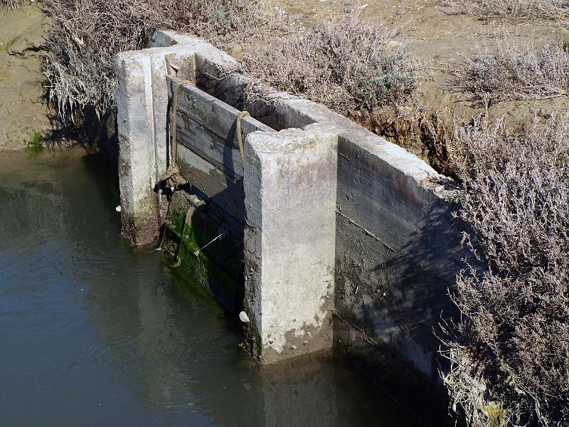 P3076834.JPG - OLYMPUS DIGITAL CAMERA