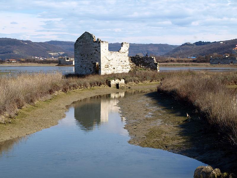 P3076835.JPG - OLYMPUS DIGITAL CAMERA