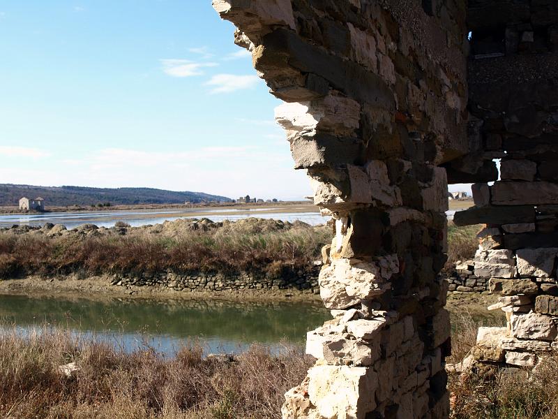 P3076852.JPG - OLYMPUS DIGITAL CAMERA