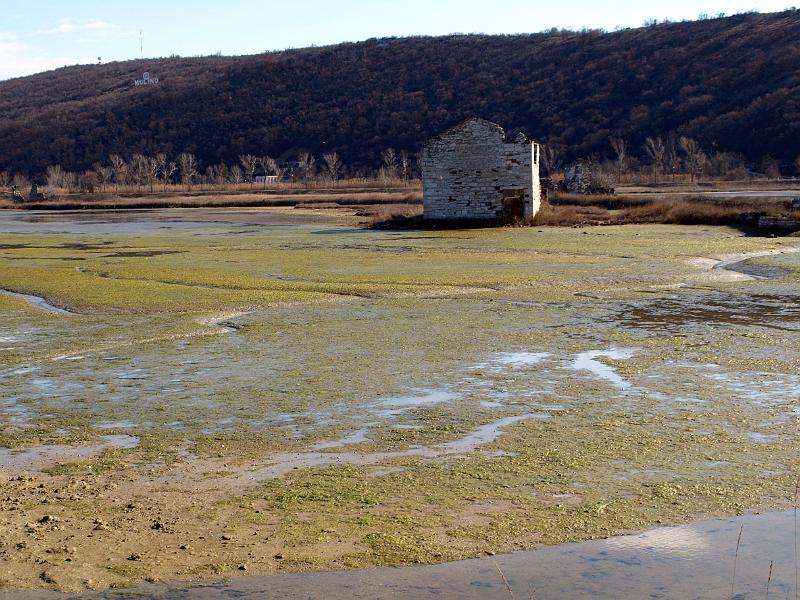 P3076861.JPG - OLYMPUS DIGITAL CAMERA