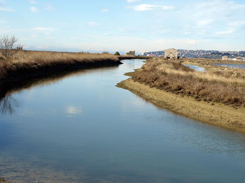 P3076867.JPG - OLYMPUS DIGITAL CAMERA