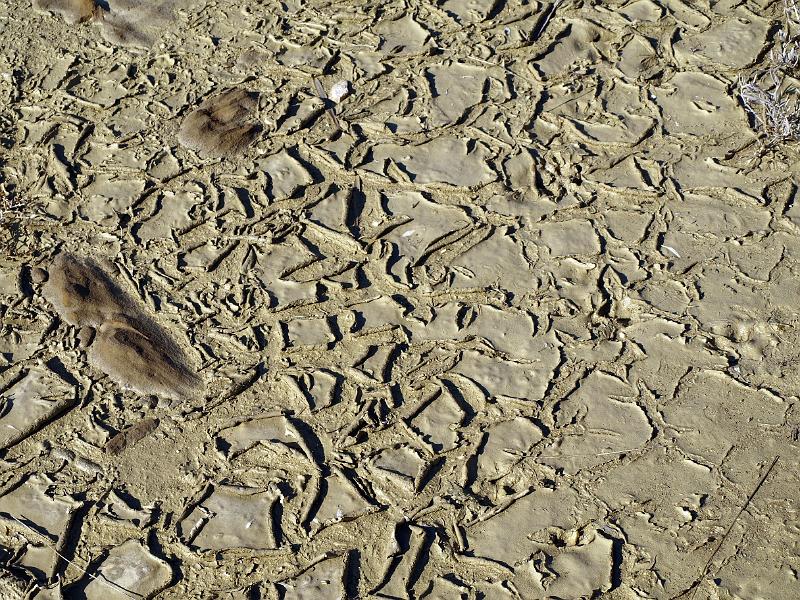 P3076868.JPG - OLYMPUS DIGITAL CAMERA