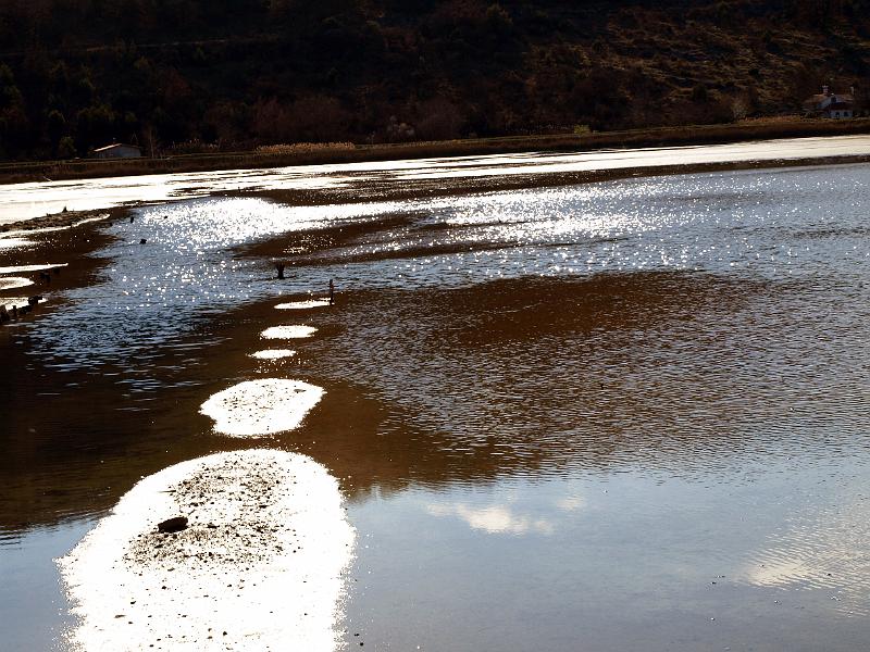 P3076870.JPG - OLYMPUS DIGITAL CAMERA