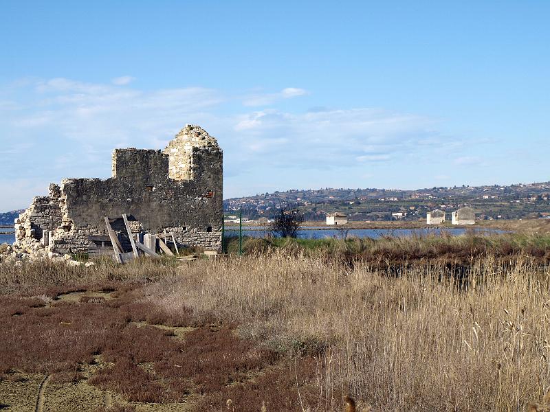 P3076882.JPG - OLYMPUS DIGITAL CAMERA