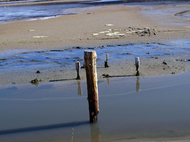 P3076895.JPG - OLYMPUS DIGITAL CAMERA