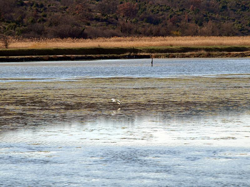 P3076898.JPG - OLYMPUS DIGITAL CAMERA