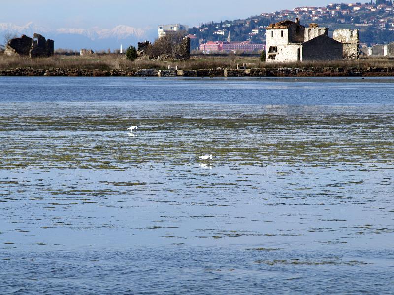 P3076901.JPG - OLYMPUS DIGITAL CAMERA