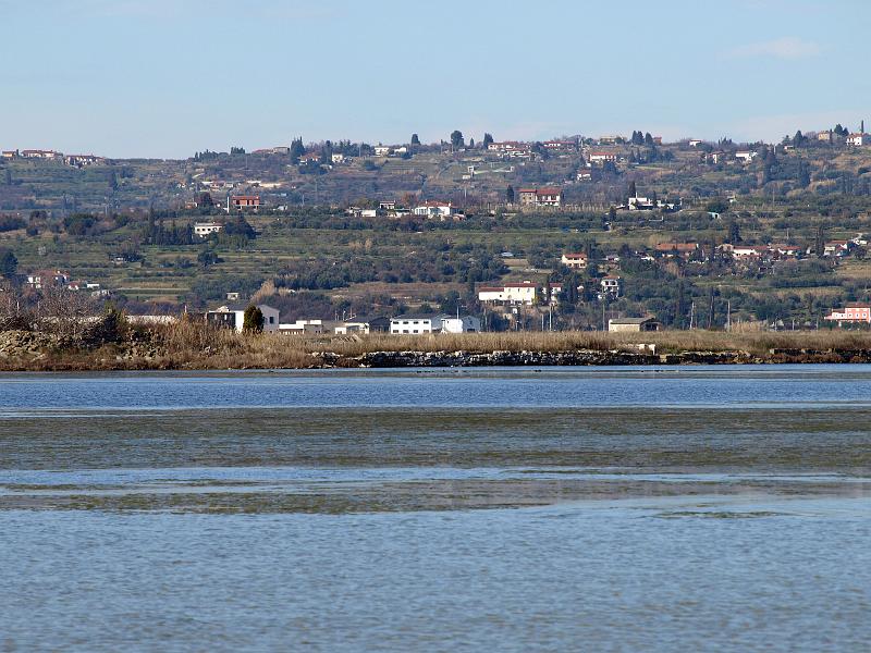 P3076902.JPG - OLYMPUS DIGITAL CAMERA