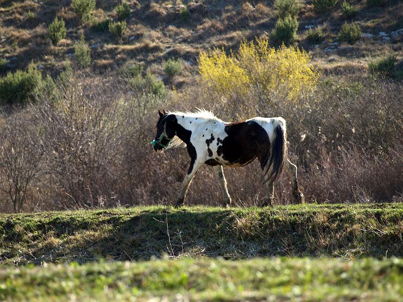 P3076903.JPG - OLYMPUS DIGITAL CAMERA