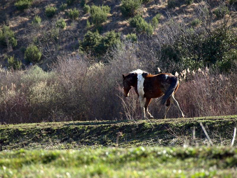 P3076909.JPG - OLYMPUS DIGITAL CAMERA