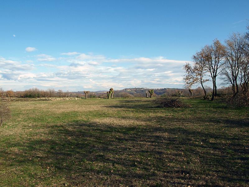 P3076918.JPG - OLYMPUS DIGITAL CAMERA