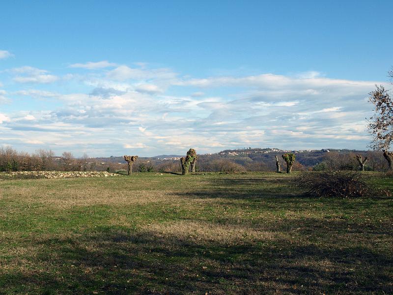 P3076919.JPG - OLYMPUS DIGITAL CAMERA